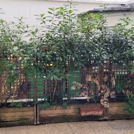  Annonces ST OUEN : Appartement | PARIS (75017) | 17 m2 | 150 000 &euro; 