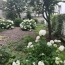  Annonces ST OUEN : Appartement | PARIS (75009) | 30 m2 | 425 000 &euro; 